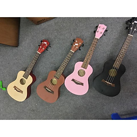 Mua Combo 2 đàn Concert giá rẻ