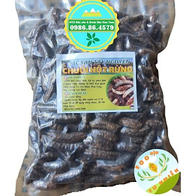 Mua Chuối hột rừng tây nguyên hàng Kon Tum sấy chất lượng đóng túi hút chân không