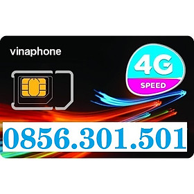 SIM VINAPHONE SIM NĂM SINH SỐ ĐẸP PHONG THỦY 0856.301.501