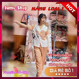 Freeship Đồ Bộ Pijama HÀNG ĐẸP CHUẨN Bộ Lụa Pijama Cộc-Dài Thiết Kế in 3D Hoạ Tiết Sang Chảnh