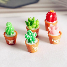 Mua Mô hình chậu Sen Đá nhỏ làm tiểu cảnh  terrarium  nhà mô hình