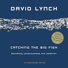 Download sách Catching the Big Fish: Meditation, Consciousness, and Creativity: 10th Anniversary Edition