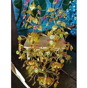 Cây cành vàng lá ngọc cây kim tiền cây tài lộc phong thủy size ~20-25cm lá ngẫu nhiên