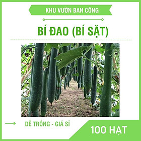 Mua Hạt giống Bí Đao Xanh Cao Sản (Bí Đao Sặt) Học Làm Vườn Gía Dùng Thử - Khu Vườn Ban Công