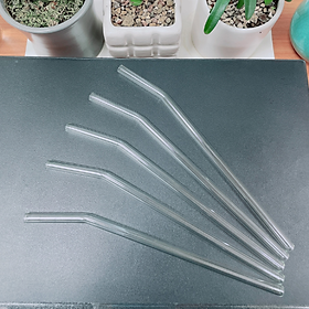 Mua Combo  Ống Hút Thủy Tinh Cao Cấp Schott (Đức)