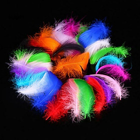 Mua Set 30 chiếc lông vũ sắc màu.