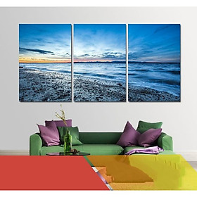 Tranh Treo Tường Hiện Đại Phòng Khách - Biển  T3M-BIEN--5