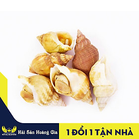 1 KG ỐC BULOT BẮC ÂU