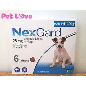 1 hộp NexGard trị ghẻ, viêm da, ve rận chó từ 4 - 10kg, 6 viên nhai