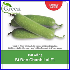 Mua Hạt Giống Bí Đao Chanh Lai F1