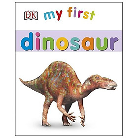 Ảnh bìa My First Dinosaur