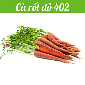 Hạt giống Cà rốt đỏ 402 gói 5gr - Xuất xứ Ấn Độ