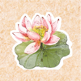 Nhang sạch Liên Tâm 29cm Hộp 50 cây - Ít khói, nhang sen 100% từ thiên nhiên, trầm hương nguyên chất, khuynh diệp, sả chanh