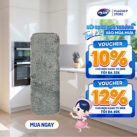 Mua Bông lau thay thế cho cây lau kính MyJae