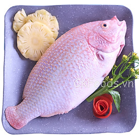 Cá diêu hồng làm sạch - CKFoods - 500 g - 600 g