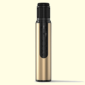Micro Không dây Bluetooth Karaoke gia đình