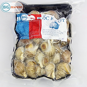 Ốc bulot Bắc Âu  size 50-70c/kg