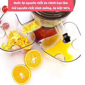Mua Máy ép hoa quả PLHOME PL-02 hàng chuẩn chất lượng cao(Bảo Hàng 12 Tháng)