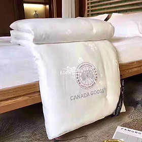 Mua Chăn Lụa Canada Goose Vải Mềm Mịn Đầy Đủ Màu Sắc Kích Thước 2m2 x 2m3