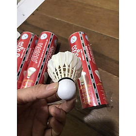 Hộp cầu lông Hải Âu_chính hãng loại hộp 6 quả và loại 12 quả