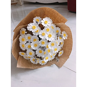 Mua BÓ hoa cúc họa mi