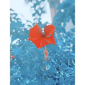 Mua Bộ 02 thảm nhà bếp cao cấp (45x 68 và 45 x 120 cm)