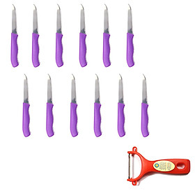 Bộ 12 dao cắt, gọt vỏ trái cây inox cao cấp tặng Dao bào đỏ nhựa cao cấp DL01 – Màu ngẫu nhiên – Gia dụng bếp