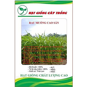 Mua Hat giống rau muống cao sản lá tre CT14 - Gói 20gram