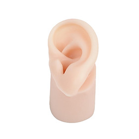 Simulated Silicone Ear Model, Delicate Texture Simulation with Base Display Props