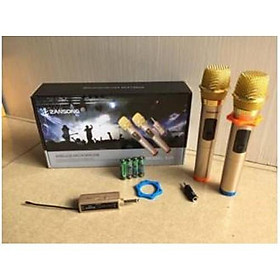 Mua Micro không dây Zansong  S28 - Hàng chính hãng