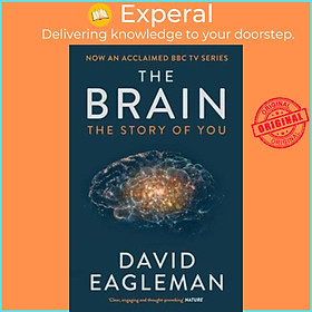 Hình ảnh Sách - The Brain : The Story of You by David Eagleman (UK edition, paperback)