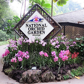 Vé Tham Quan Vườn Lan National Orchid Garden Ở Singapore