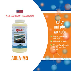 AQUA M5 Vi sinh xử lý khí độc trong ao nuôi thủy sản - Chai 1 lít