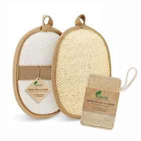 Combo 02 Bông Tắm Xơ Mướp ECODEALS 100% Xơ Mướp Hữu Cơ - Tặng 1 xơ mướp rửa chén - Xơ mướp loại 1, làm sạch cơ thể, tẩy da chết, massage linh hoạt, tạo bọt nhanh - KT lớn 11 x 16cm