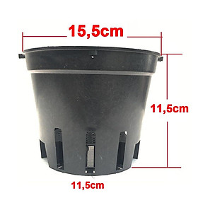 300 Chậu Nhựa đen Trồng Lan phi 16 Bền, Dẻo, có khe Treo chậu-77316