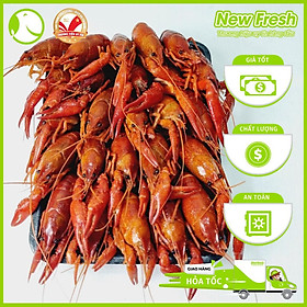 Tôm Hùm Đất Crawfish Đông Lạnh Size 35-45 Con/Kg - Túi 2.5Kg