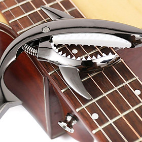 Capo Cá Mập cao cấp