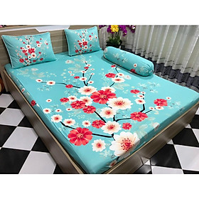 2 vỏ gối nằm thun lạnh Hàn Quốc 40x60/50x70 mềm mát