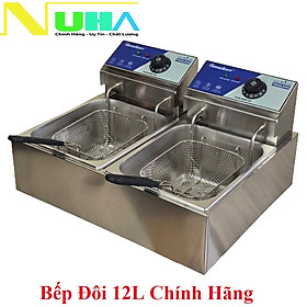 Bếp chiên nhúng ngập dầu Raiden RD1206 6L đôi (tổng 12L) - Chiên gà rán, khoai tây, cá viên, chuối chiên...- Hàng chính hãng