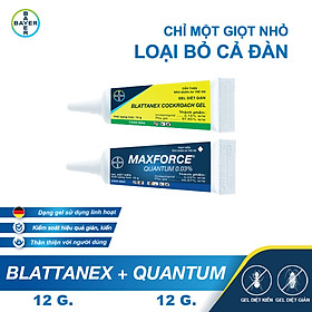 [Combo 2 sản phẩm] Gel Diệt Kiến Maxforce Quantum + Gel Diệt Gián Blattanex Chính Hãng