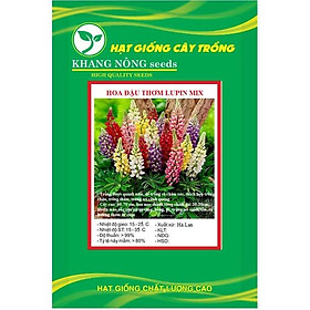 Hạt giống hoa đậu thơm lupin mix màu KNS3606 - Gói 50 hạt