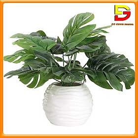 Mua Chậu Cây Giả Mini Để Bàn Cây Hoa Giả Trang Trí Cao 25cm Decor Bàn Trà Kệ Tủ DG-136