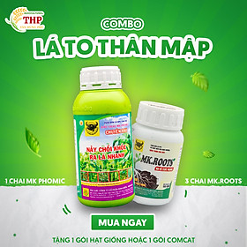 COMBO LÁ TO THÂN MẬP | CHUYÊN RAU ĂN LÁ | COMBO CHĂM SÓC CÂY