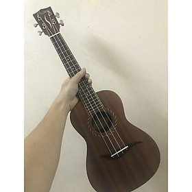 Mua COMBO ĐÀN UKULELE CONCERT FLOW KÈM BAO ĐÀN VÀ CAPO