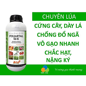 Mua Phân bón 2 trong 1 Foliartal Sil-k chuyên chắc hạt  nặng ký  chỉnh trái tròn trái cây  xanh màu