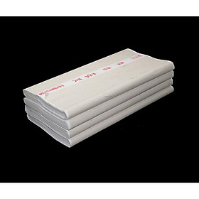 Giấy xuyến chỉ (Tuyên chỉ) vẽ thuỷ mặc, viết thư pháp đa dạng chất lượng - Toàn sinh loại 3