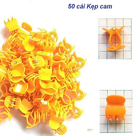 Set 50 cái kẹp hình con bướm  to 2cm màu cam, chất lượng cao dùng để kẹp cành cây, cành hoa lan.