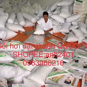 Mua Gối ôm hơi cao cấp cho người lớn