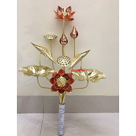 Mua 1 bó hoa sen đồng vàng pha đồng đỏ 10 bông