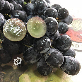 Mua CÂY GIỐNG NHO KẸO NGỌT MỸ DÒNG QUẢ SỚM  CAM KẾT GIỐNG CHUẨN F1